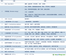 CDM項(xiàng)目分類