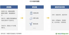 2022 年中國(guó)碳捕集、利用與封存（CCUS）洞察報(bào)告