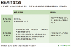 企業(yè)領導者為什么必須了解碳信用額？