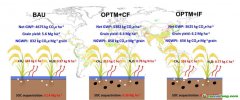 西南大學最新研究給出糧食增產與凈碳減排“雙贏”路徑